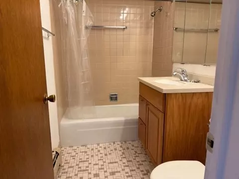 Bath - 1243 E Washington St #C302, Des Plaines, IL 60016 photo 1 of 1