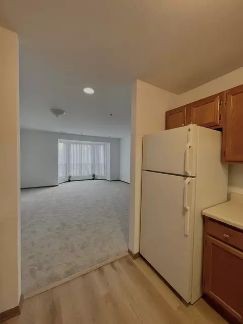 57 E Hattendorf Ave #204, Roselle, IL 60172 photo 7