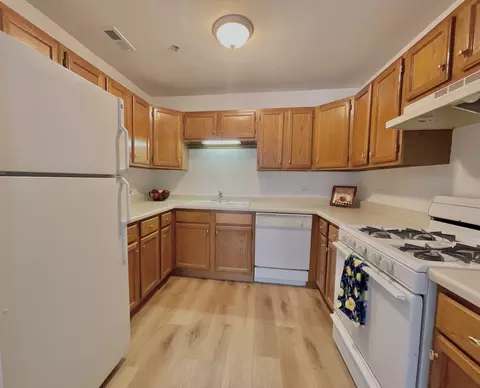 57 E Hattendorf Ave #204, Roselle, IL 60172 photo 8