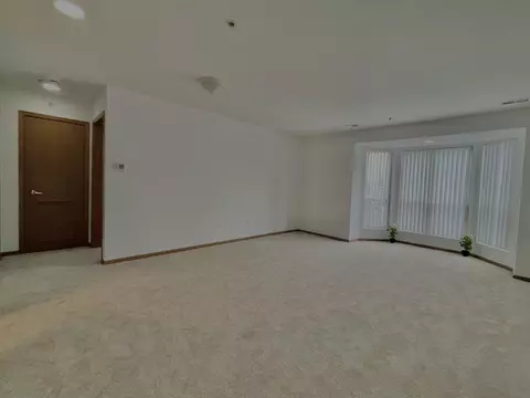 57 E Hattendorf Ave #204, Roselle, IL 60172 photo 5
