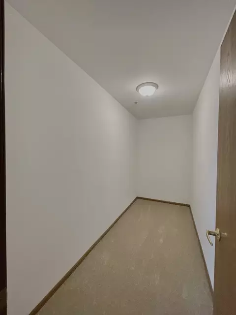 57 E Hattendorf Ave #204, Roselle, IL 60172 photo 18