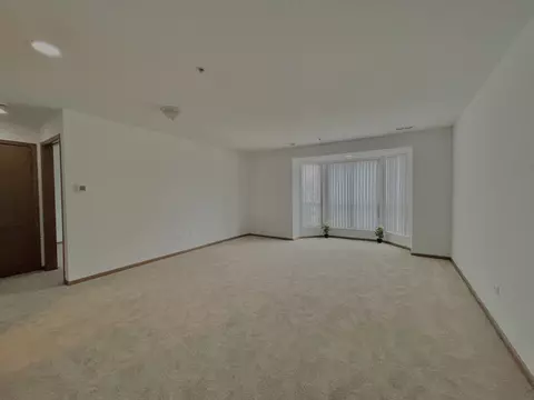 57 E Hattendorf Ave #204, Roselle, IL 60172 photo 3