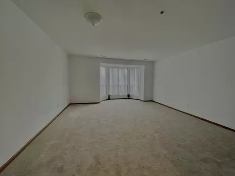 57 E Hattendorf Ave #204, Roselle, IL 60172 photo 6