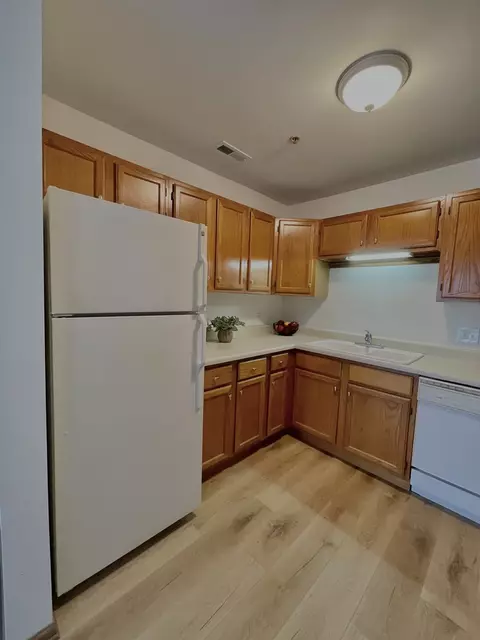 57 E Hattendorf Ave #204, Roselle, IL 60172 photo 9