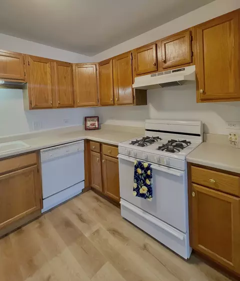 57 E Hattendorf Ave #204, Roselle, IL 60172 photo 10