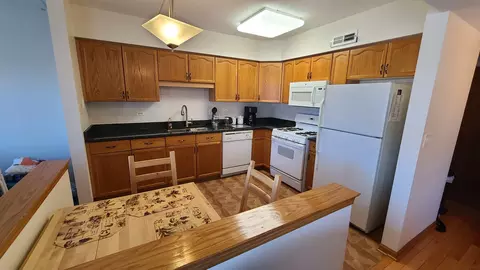 Kitchen - 1477 Thacker Ave #310, Des Plaines, IL 60016 photo 2 of 3