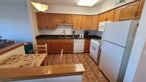 Kitchen - 1477 Thacker Ave #310, Des Plaines, IL 60016 photo 3 of 3
