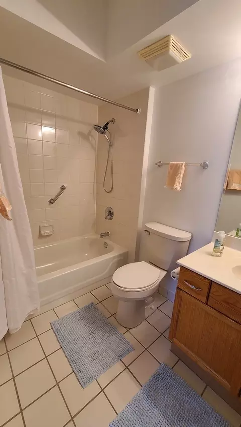 Bath - 1477 Thacker Ave #310, Des Plaines, IL 60016 photo 5 of 7