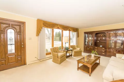 Living - 1131 S 3rd Ave, Des Plaines, IL 60016 photo 2 of 5