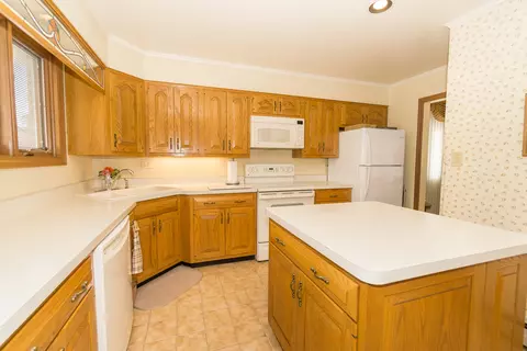 Kitchen - 1131 S 3rd Ave, Des Plaines, IL 60016 photo 4 of 4