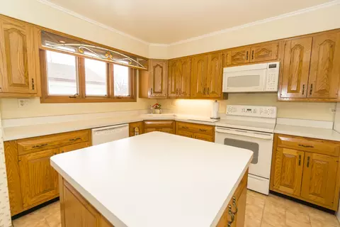 Kitchen - 1131 S 3rd Ave, Des Plaines, IL 60016 photo 3 of 4
