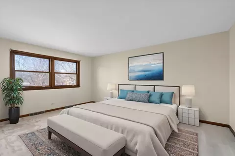 1105 E Gartner Rd, Naperville, IL 60540 photo 16