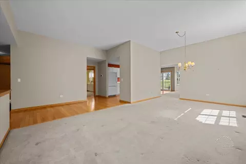 13731 S Tamarack Dr, Plainfield, IL 60544 photo 7