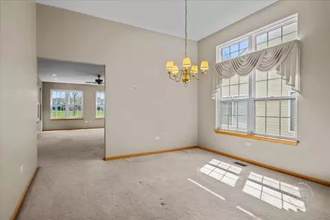 13731 S Tamarack Dr, Plainfield, IL 60544 photo 9