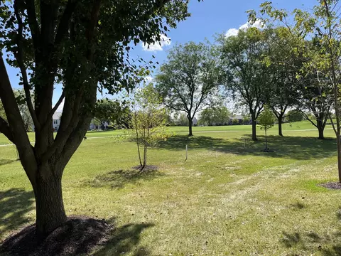 13731 S Tamarack Dr, Plainfield, IL 60544 photo 35