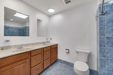 77 Graymoor Ln, Olympia Fields, IL 60461 photo 18