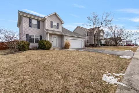 25647 S Violet Ln, Monee, IL 60449 photo 37