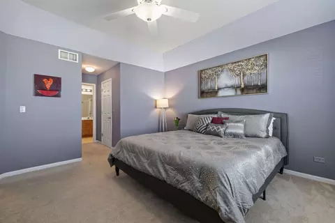 23900 Mcmullin Cir, Plainfield, IL 60586 photo 12