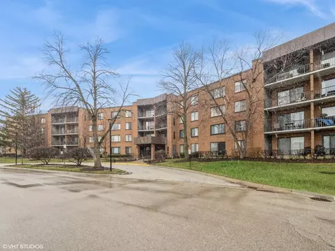 263 S Clubhouse Dr #215, Palatine, IL 60074
