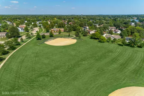 3976 Whispering Trails Dr, Hoffman Estates, IL 60192 photo 41