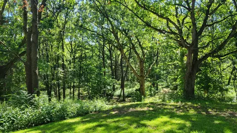 116 N Ridge Rd, Mchenry, IL 60050 photo 49