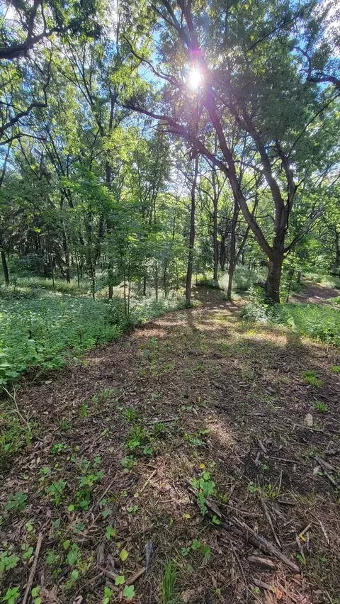 116 N Ridge Rd, Mchenry, IL 60050 photo 51