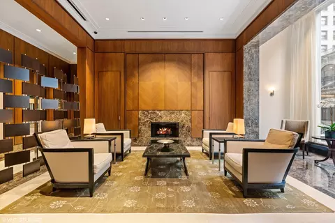 Living - 159 E Walton Pl #16E, Chicago, IL 60611 photo 7 of 7