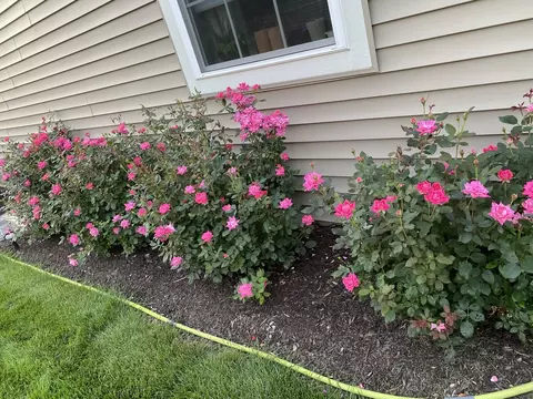 Exterior - 13423 Summergrove Dr, Plainfield, IL 60585 photo 5 of 11