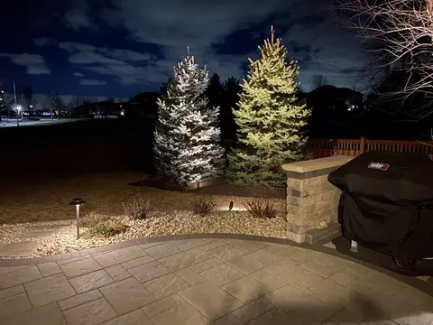 Exterior - 13423 Summergrove Dr, Plainfield, IL 60585 photo 6 of 11