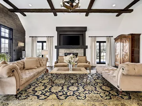 Living - 9500 Falling Waters Dr E, Burr Ridge, IL 60527 photo 7 of 10