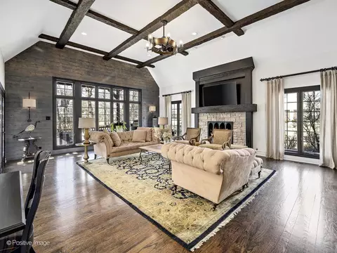 Living - 9500 Falling Waters Dr E, Burr Ridge, IL 60527 photo 4 of 10