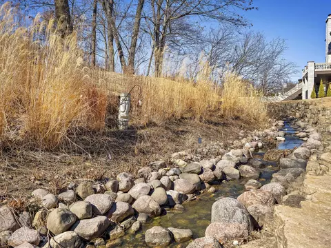 Exterior - 9500 Falling Waters Dr E, Burr Ridge, IL 60527 photo 7 of 8