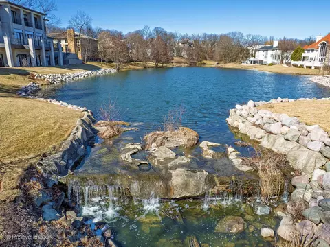 View/Area - 9500 Falling Waters Dr E, Burr Ridge, IL 60527 photo 1 of 6