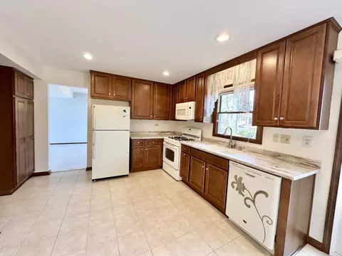 1024 Concord Dr, Bartlett, IL 60103 photo 10