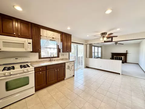 1024 Concord Dr, Bartlett, IL 60103 photo 11