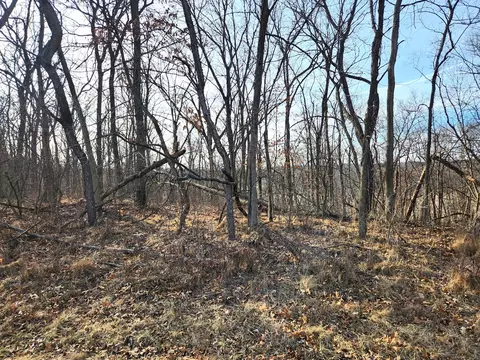 lot1356 Green Valley Dr, Varna, IL 61375
