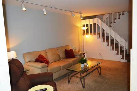 Living - 207 Shadowbend Dr, Wheeling, IL 60090 photo 3 of 4