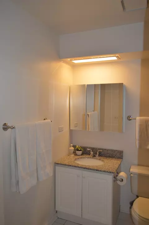 Bath - 207 Shadowbend Dr, Wheeling, IL 60090 photo 2 of 3