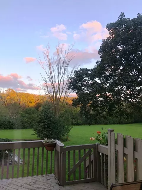 Exterior - 207 Shadowbend Dr, Wheeling, IL 60090 photo 3 of 3