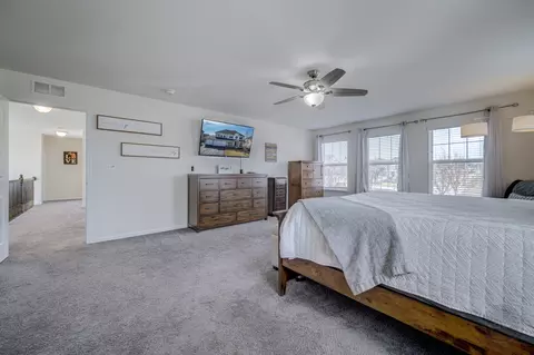 Bedroom - 27101 Rustic Wood Ln, Plainfield, IL 60585 photo 3 of 7