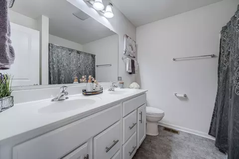 Bath - 27101 Rustic Wood Ln, Plainfield, IL 60585 photo 5 of 5