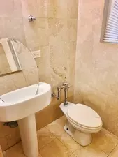 Bath - 5555 S Everett Ave #D1, Chicago, IL 60637 photo 3 of 3