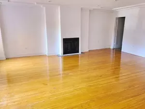 Living - 5555 S Everett Ave #D1, Chicago, IL 60637 photo 1 of 3