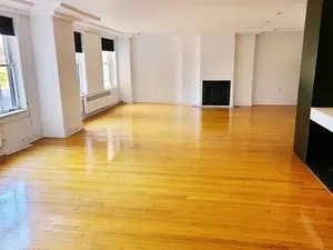 Living - 5555 S Everett Ave #D1, Chicago, IL 60637 photo 2 of 3