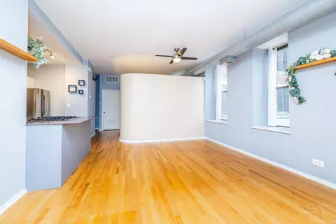 Living - 811 S Lytle St #213, Chicago, IL 60607 photo 4 of 4