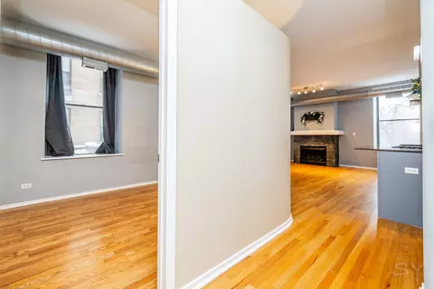 Entry Way - 811 S Lytle St #213, Chicago, IL 60607 photo 4 of 4