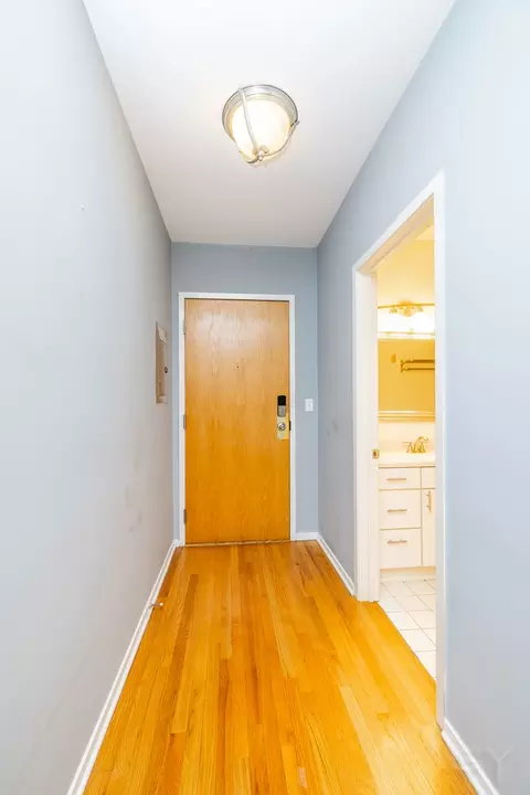 Entry Way - 811 S Lytle St #213, Chicago, IL 60607 photo 3 of 4