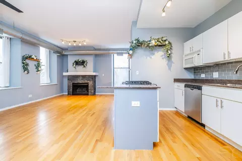 Living - 811 S Lytle St #213, Chicago, IL 60607 photo 2 of 4