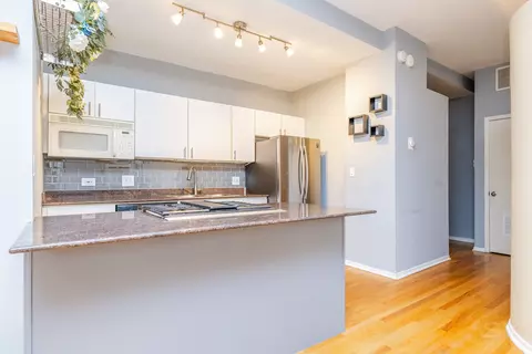 Kitchen - 811 S Lytle St #213, Chicago, IL 60607 photo 1 of 3