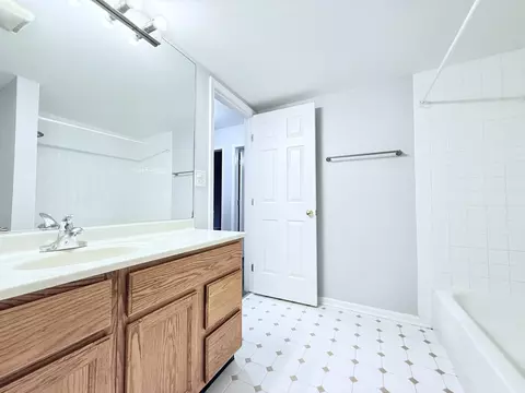 Bath - 218 E Bailey Rd #M, Naperville, IL 60565 photo 3 of 3